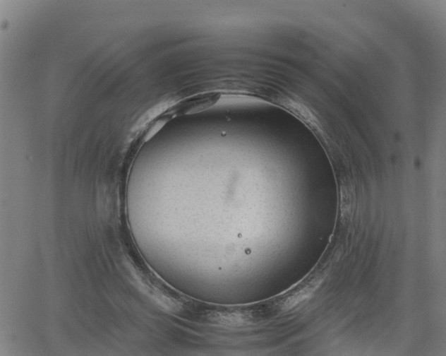 X0000062130349200512161158