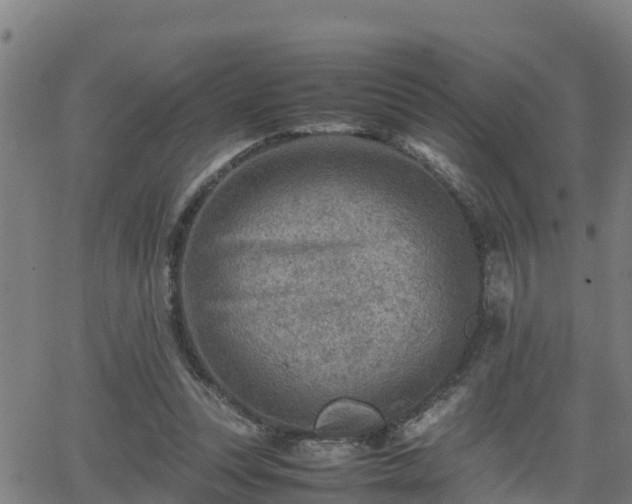 X0000062130351200512161158