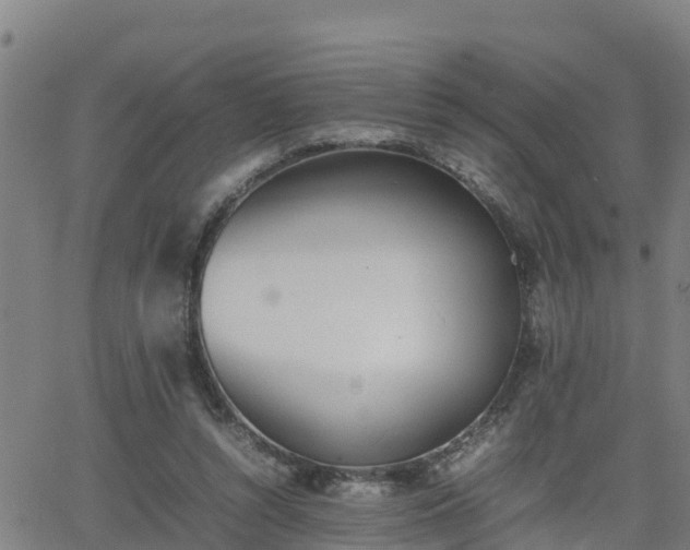 X0000062130352200512161158