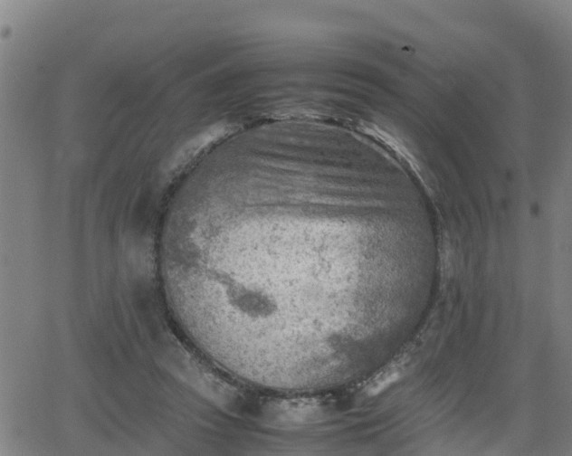 X0000062130353200512161158