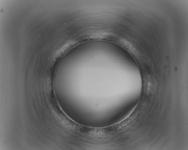 X0000062130354200512161158