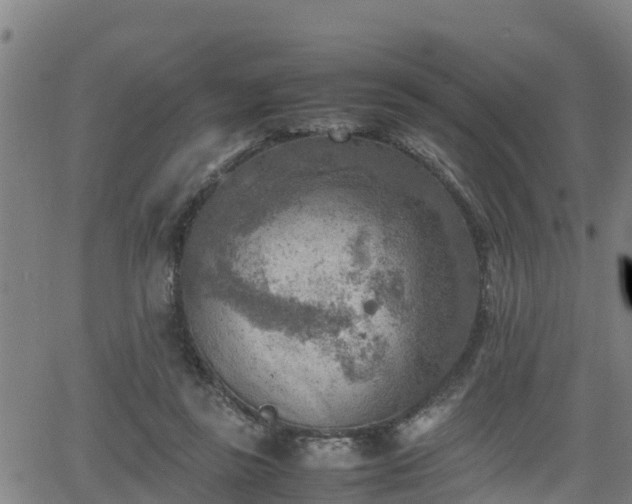 X0000062130355200512161158