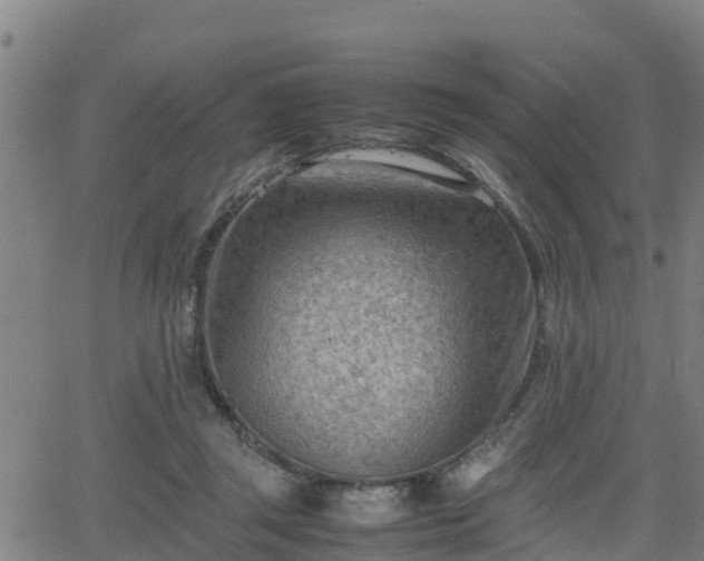 X0000062130357200512161158