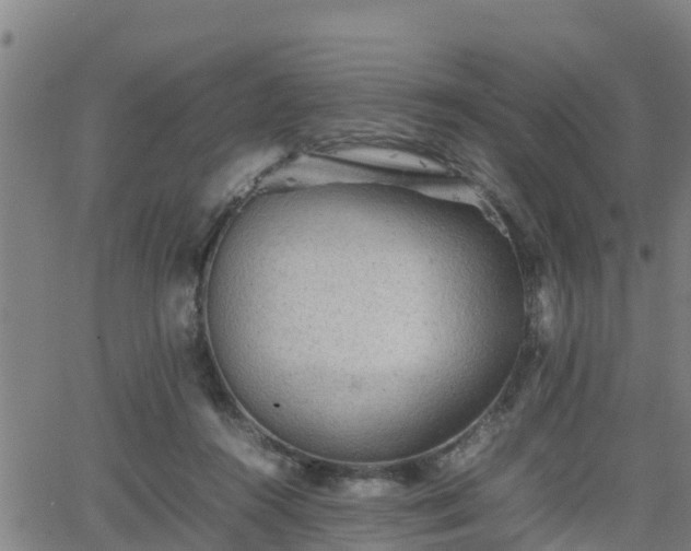 X0000062130360200512161158