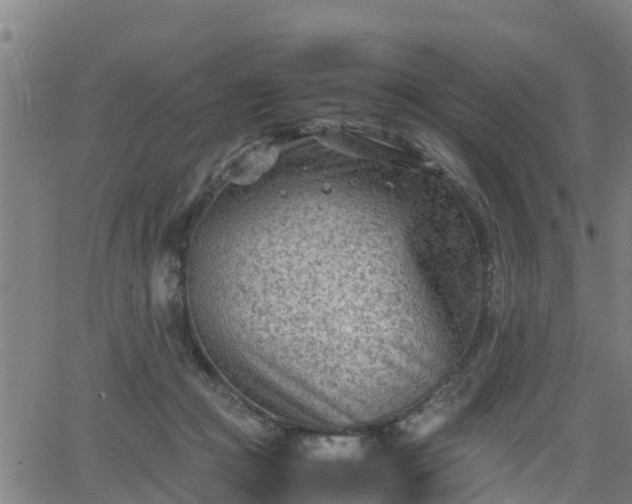 X0000062130361200512161158