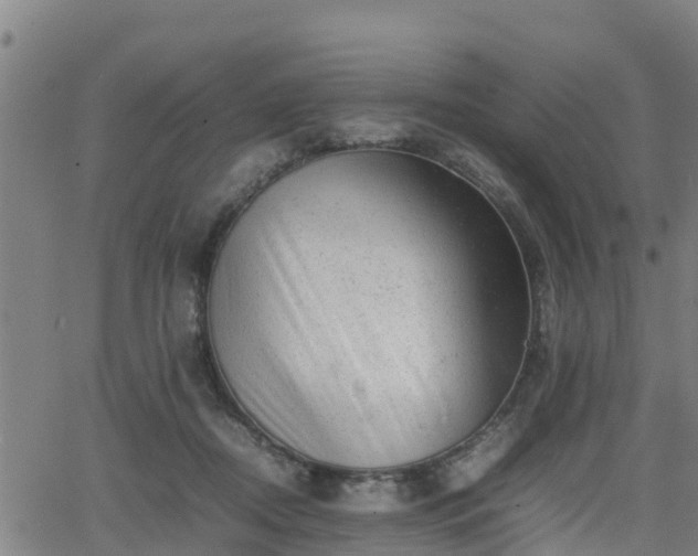 X0000062130362200512161158