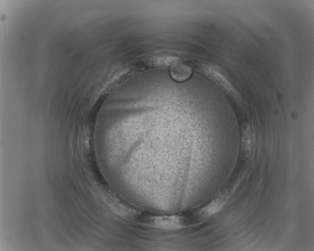 X0000062130363200512161158