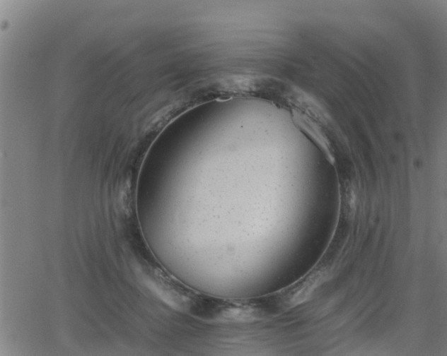 X0000062130364200512161158