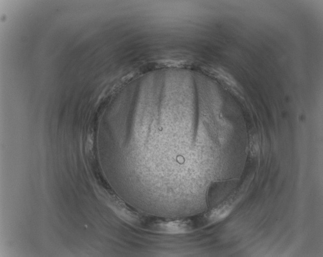 X0000062130365200512161158