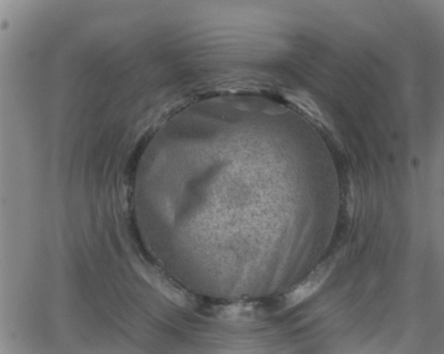 X0000062130366200512161158