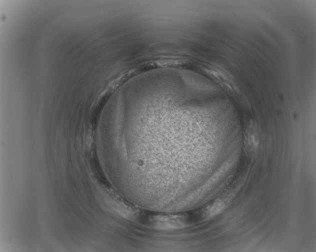 X0000062130367200512161158