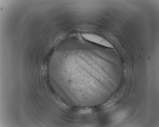 X0000062130369200512161158