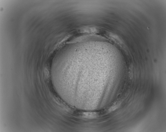 X0000062130371200512161158