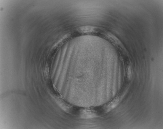 X0000062130372200512161158