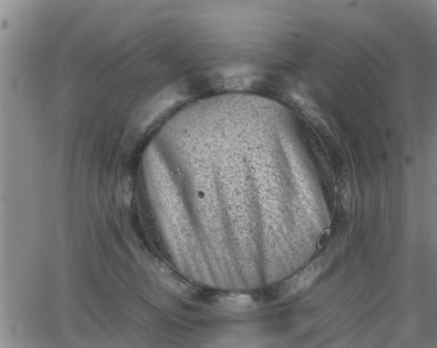 X0000062130374200512161158