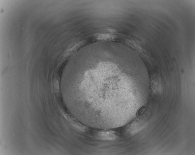 X0000062130375200512161158