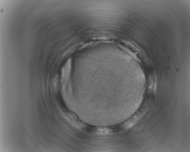 X0000062130376200512161158