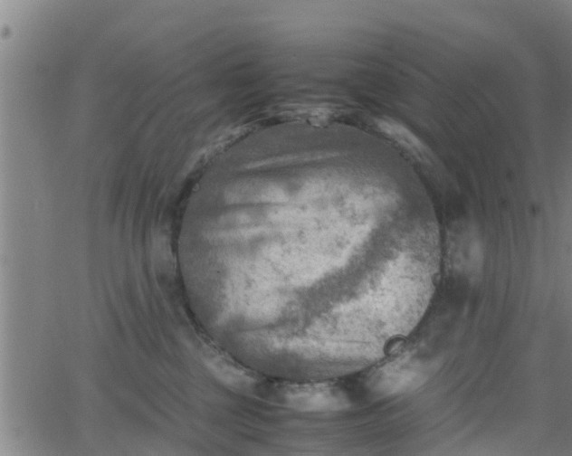 X0000062130377200512161158