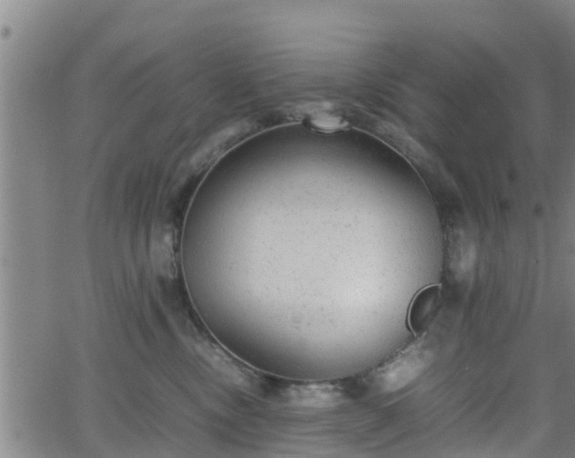 X0000062130378200512161158