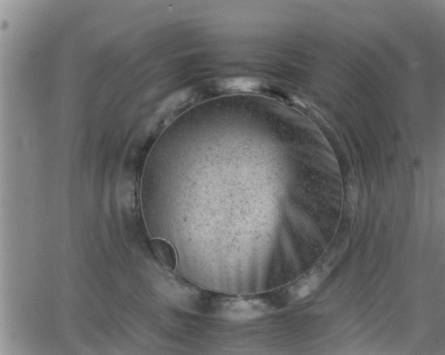 X0000062130379200512161158