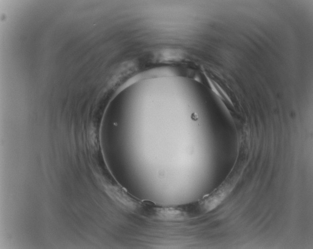 X0000062130380200512161158