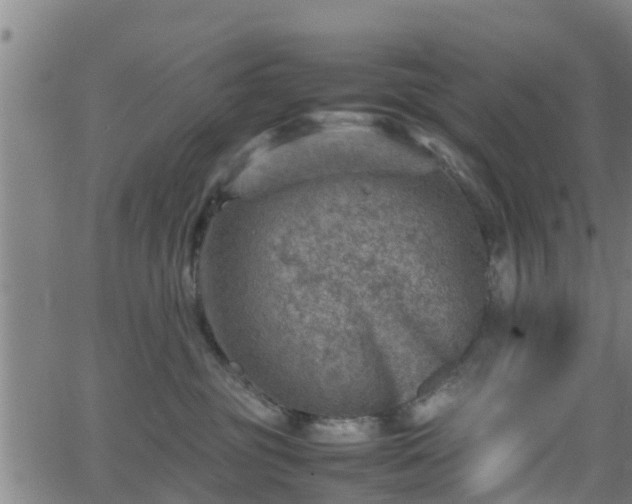 X0000062130381200512161158