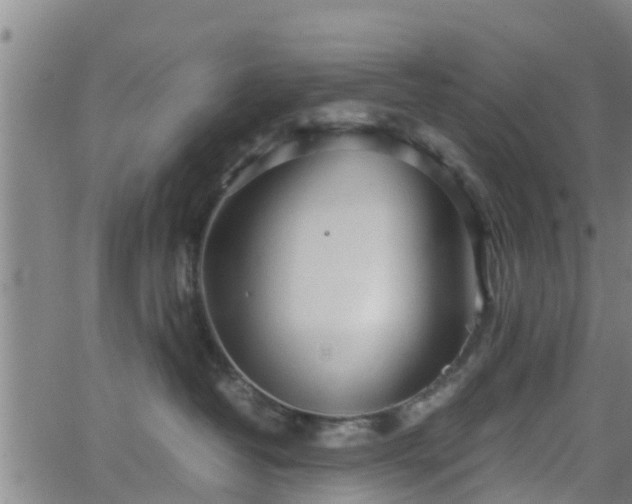 X0000062130382200512161158