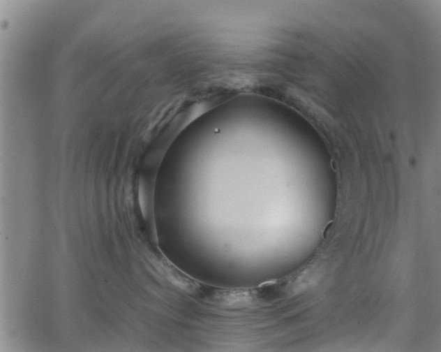 X0000062130384200512161158