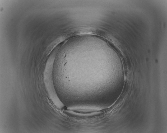 X0000062130385200512161157