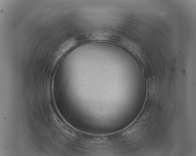 X0000062130386200512161157