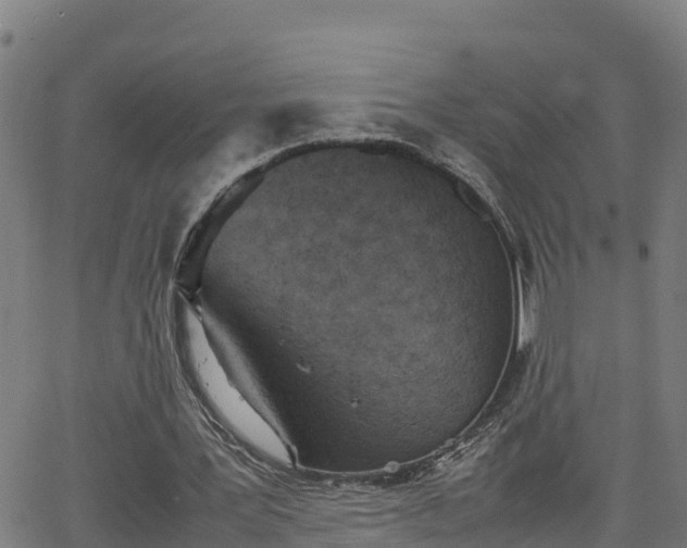 X0000062130387200512161157