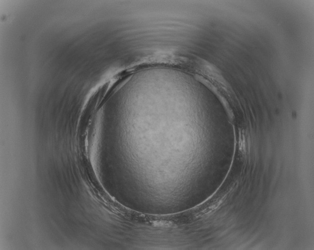 X0000062130388200512161157