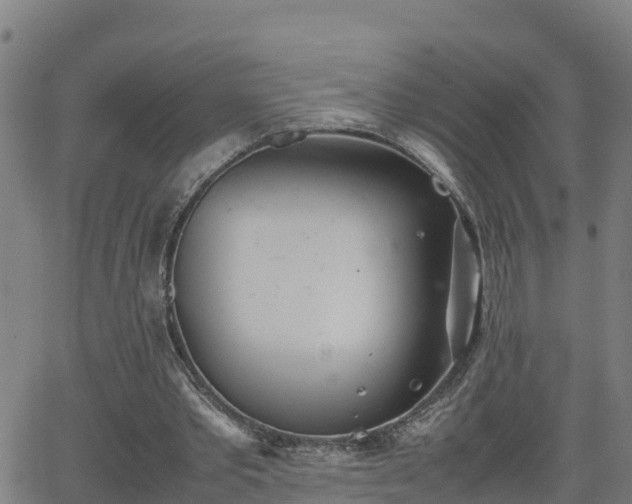 X0000062130389200512161157