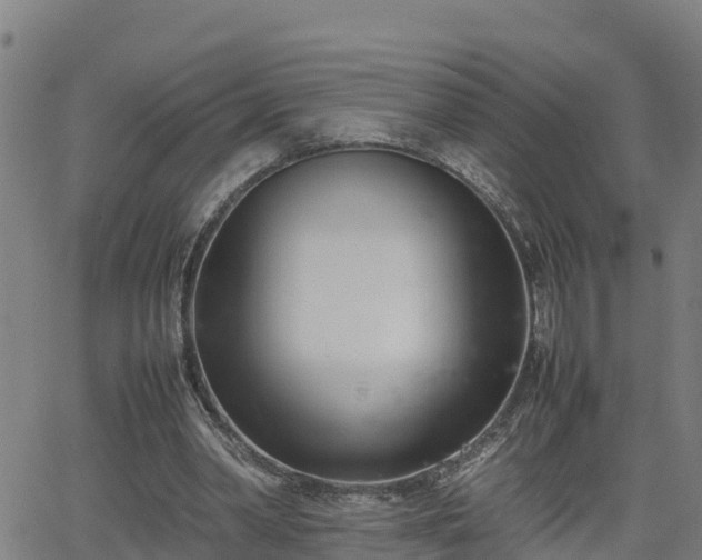 X0000062130390200512161157