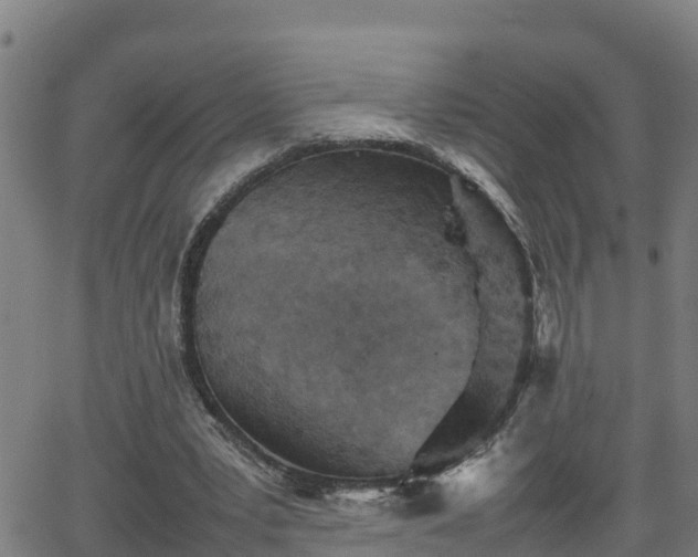 X0000062130391200512161157