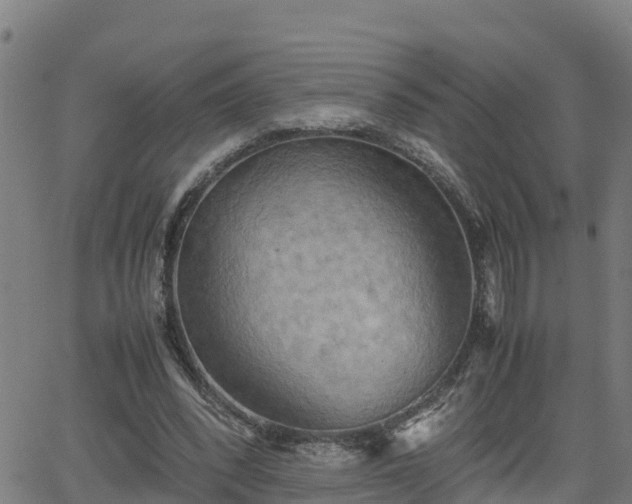 X0000062130392200512161157