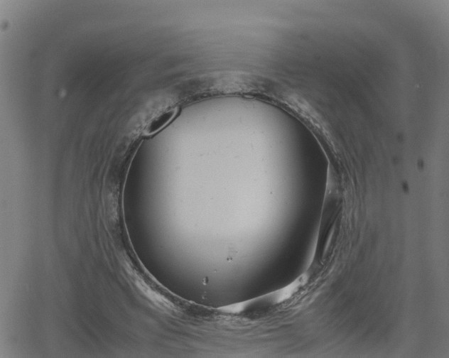 X0000062130393200512161157