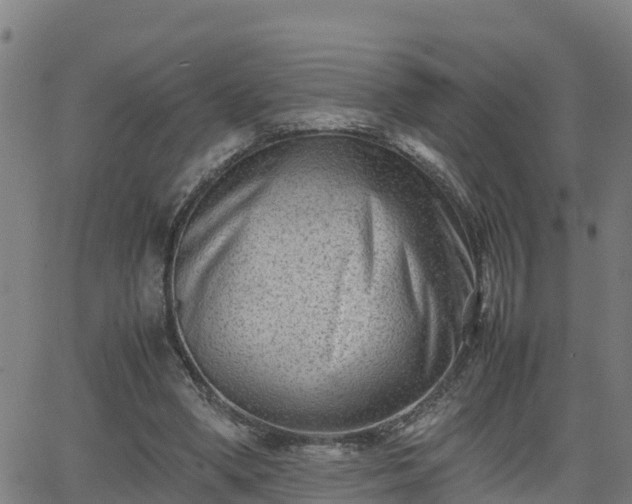 X0000062130394200512161157