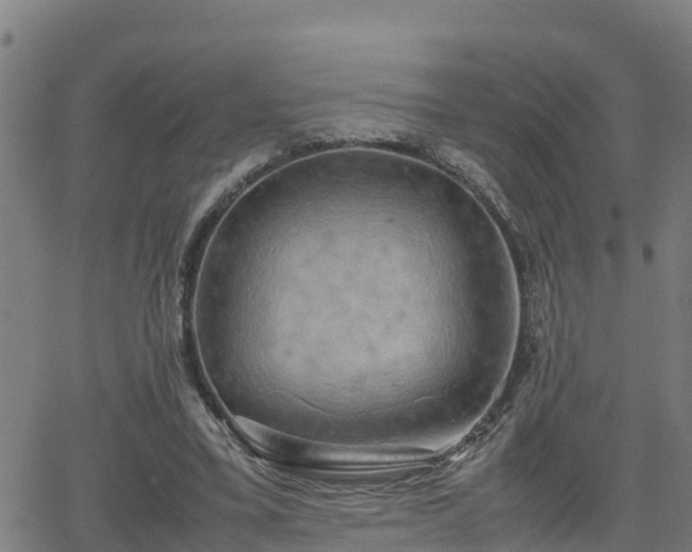 X0000062130395200512161157