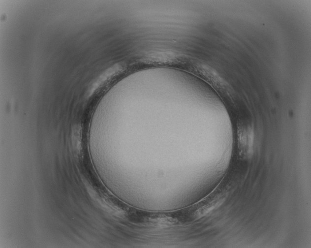 X0000062130396200512161157