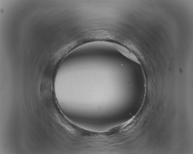 X0000062130397200512161157