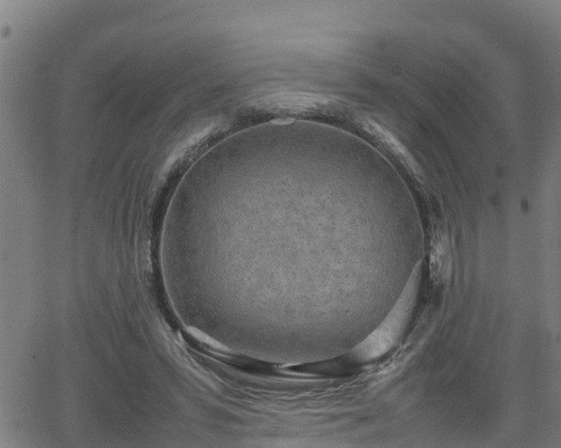 X0000062130399200512161157