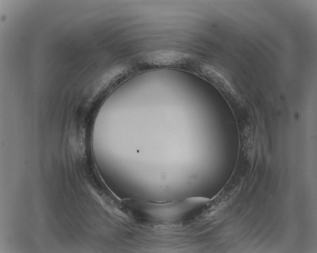 X0000062130400200512161157