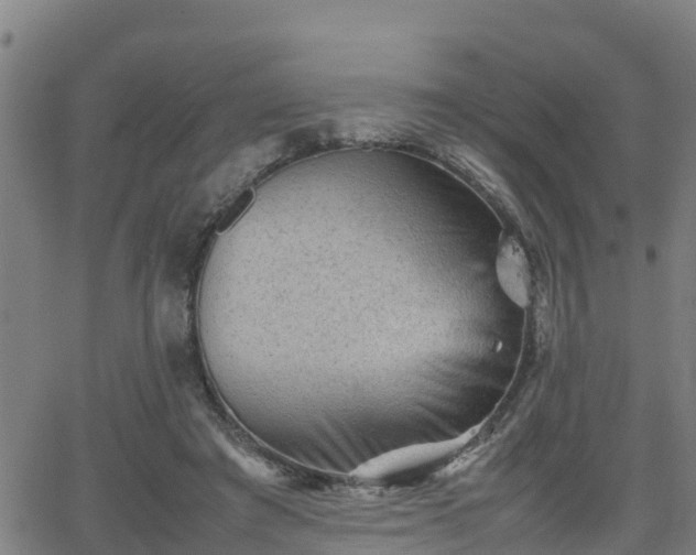 X0000062130401200512161157