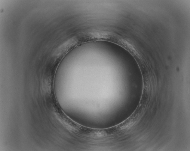 X0000062130402200512161157