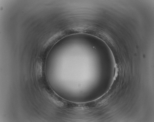 X0000062130404200512161157