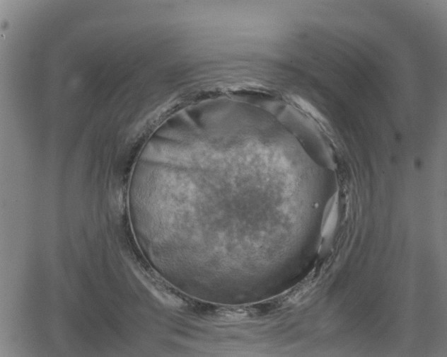 X0000062130405200512161157