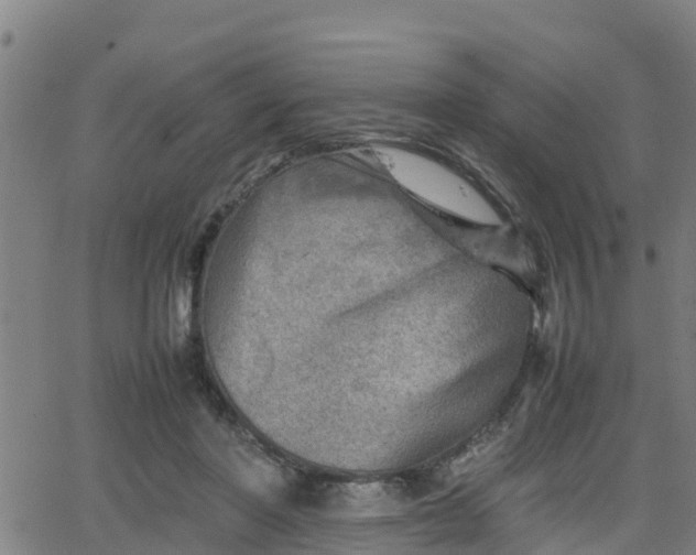 X0000062130406200512161157