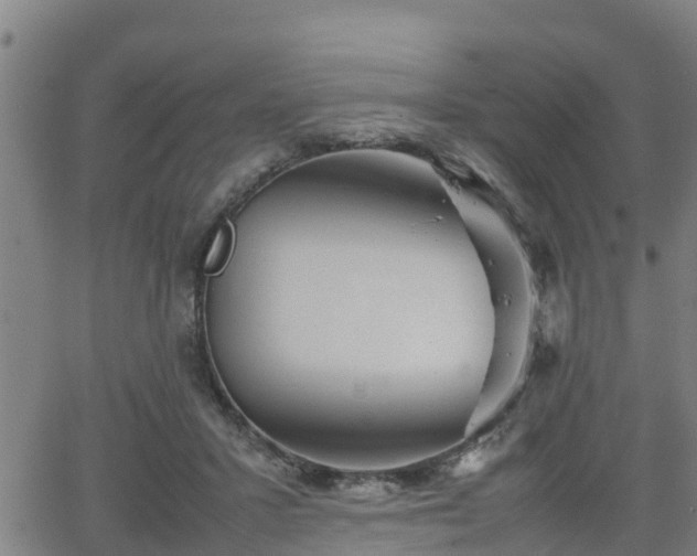 X0000062130407200512161157