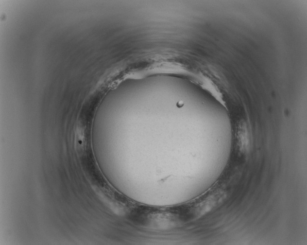 X0000062130408200512161157